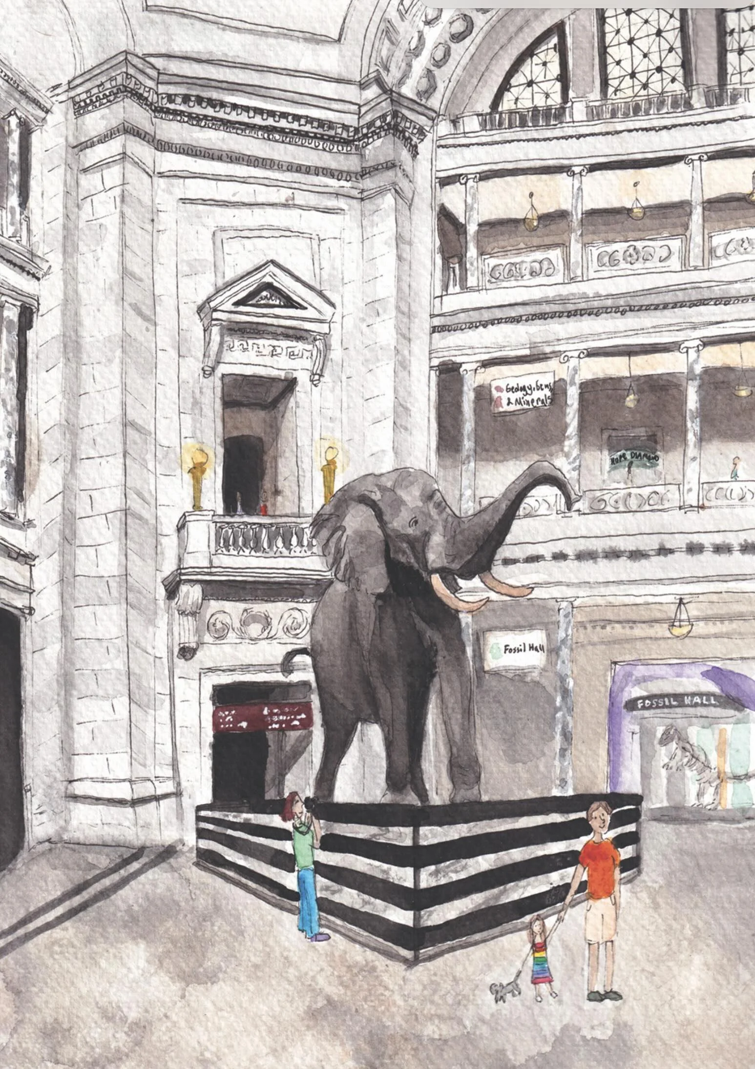 Smithsonian Natural History Museum Card Washington DC, Museum Smithsonian Natural History Museum Card Washington DC, Museum